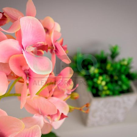 The Floral Suite Alexandroupolis Buitenkant foto