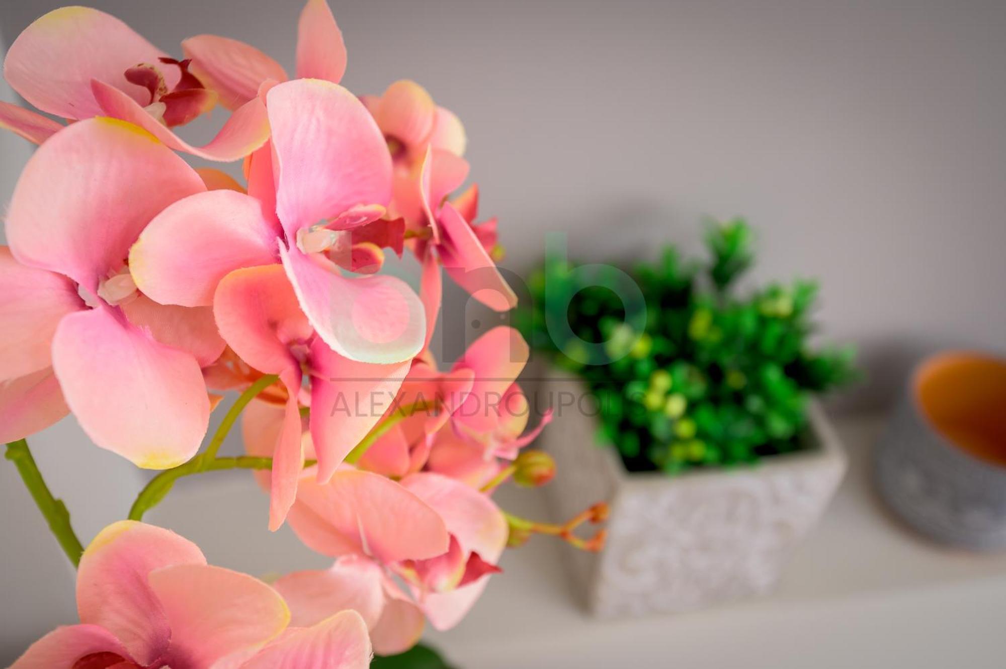 The Floral Suite Alexandroupolis Buitenkant foto