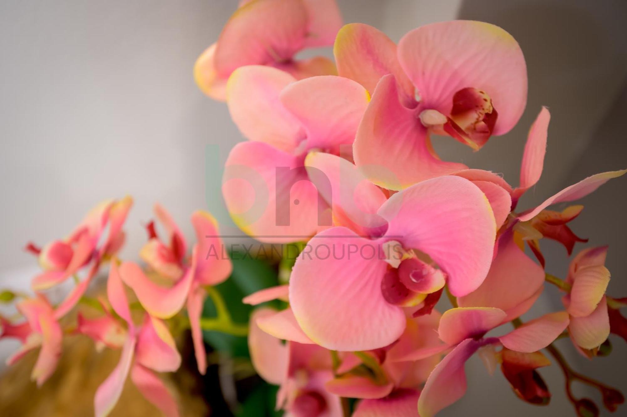The Floral Suite Alexandroupolis Buitenkant foto