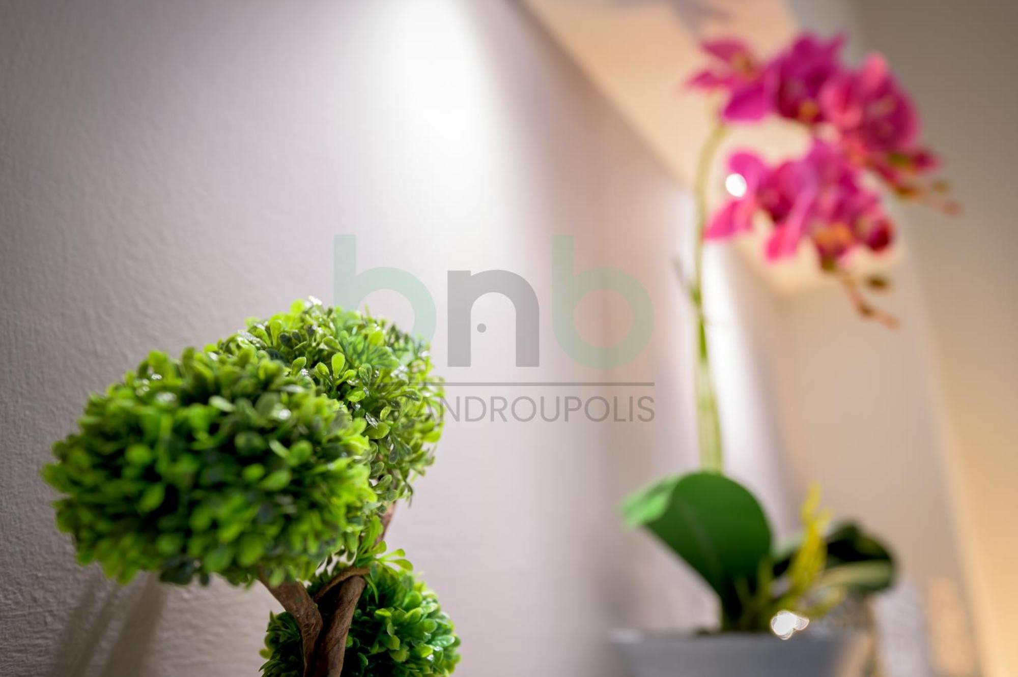 The Floral Suite Alexandroupolis Buitenkant foto